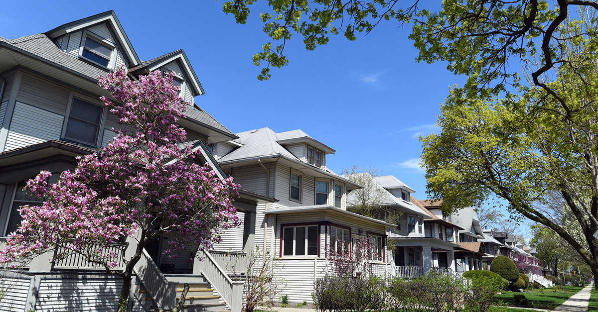 Classic homes with a magnolia tree